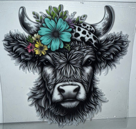 6 - Cow Head