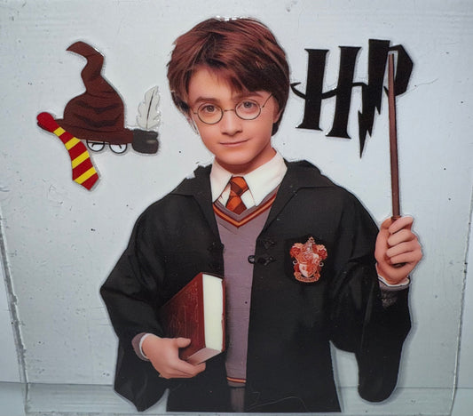 29 - HP Harry