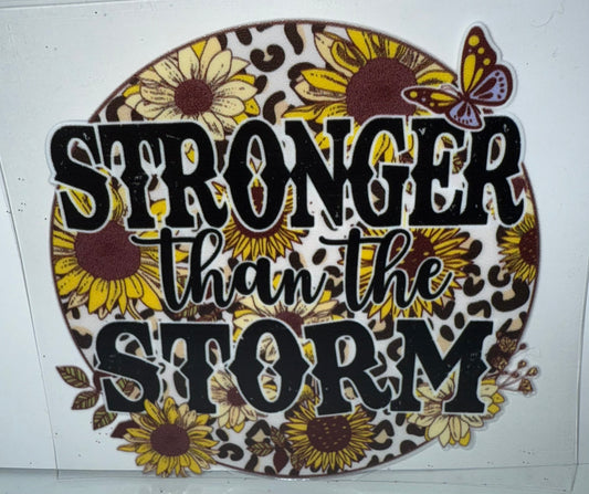 16 - Stronger than the Storm